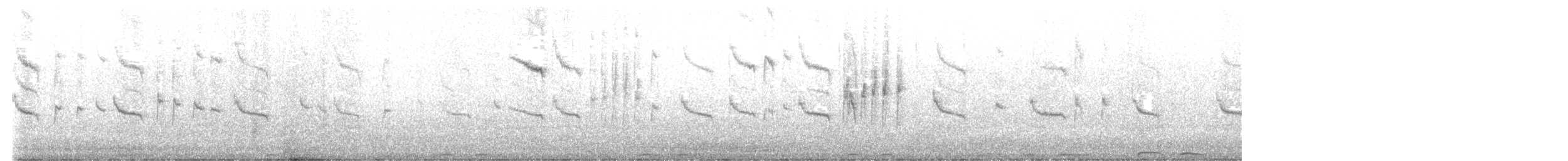 Cape White-eye (Cape) - ML631388549