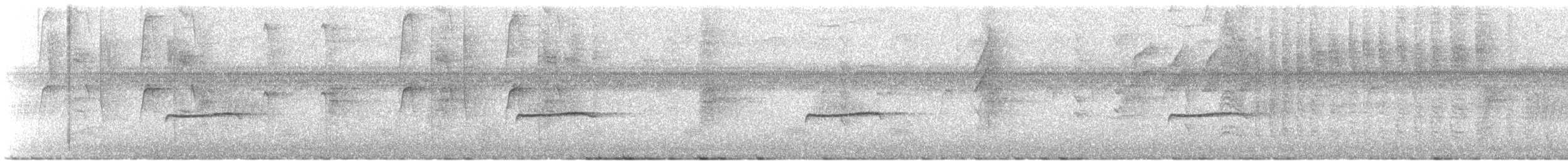 Western Wood-Pewee - ML631390099