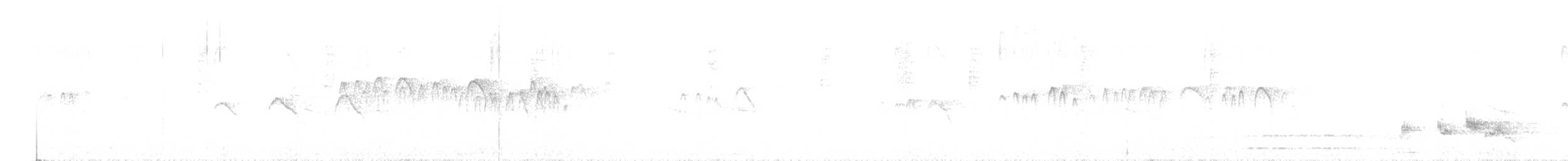 White-crowned Forktail - ML631391546