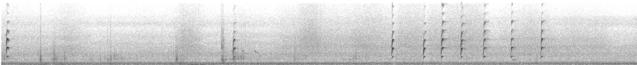 Spur-winged Lapwing - ML631391641