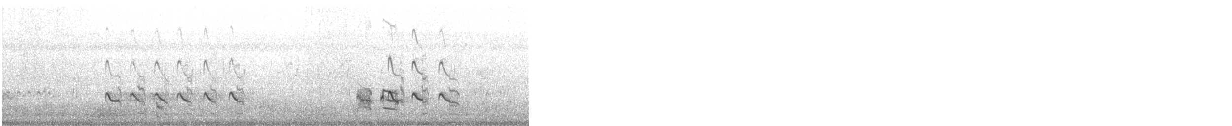 Үхэр хөгчүү - ML631392215