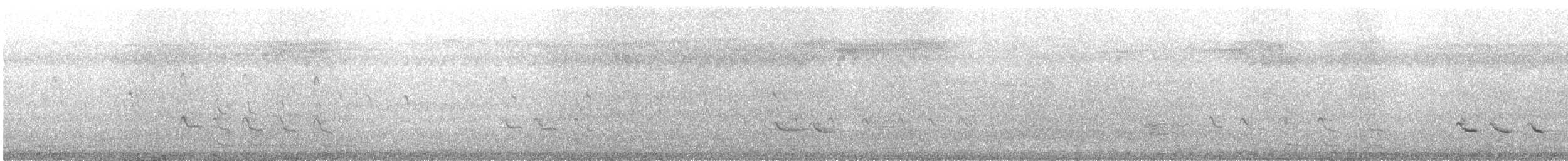 Үхэр хөгчүү - ML631392216