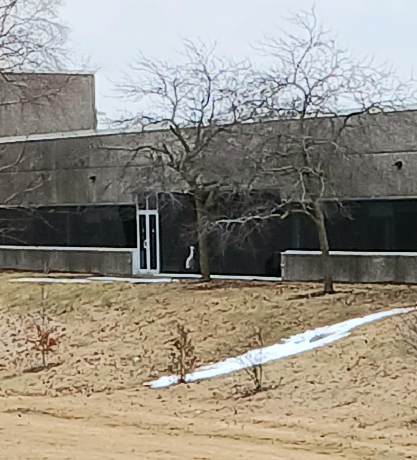 Sandhill Crane - ML631396867