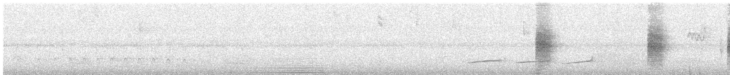 White-breasted Tapaculo - ML631399018