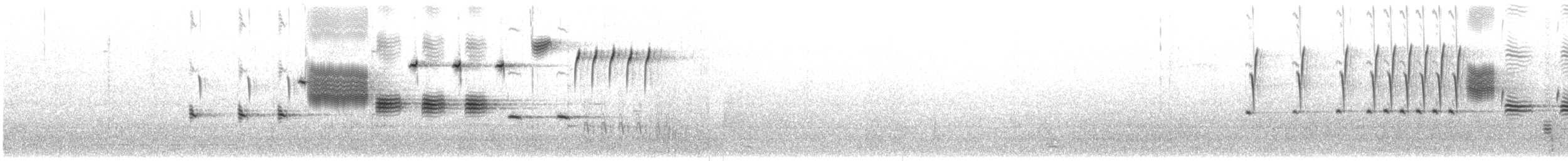 Song Sparrow - ML63140151