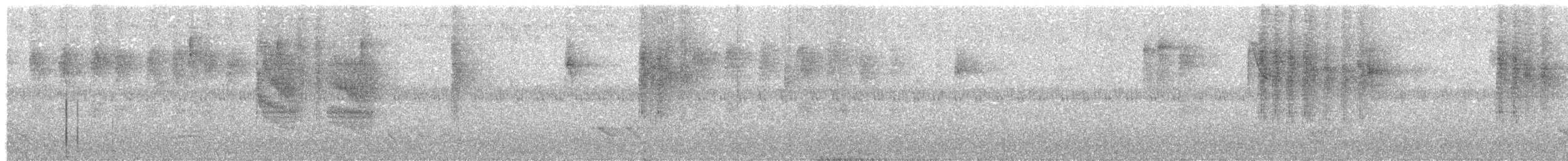 Star-throated Antwren - ML631405427