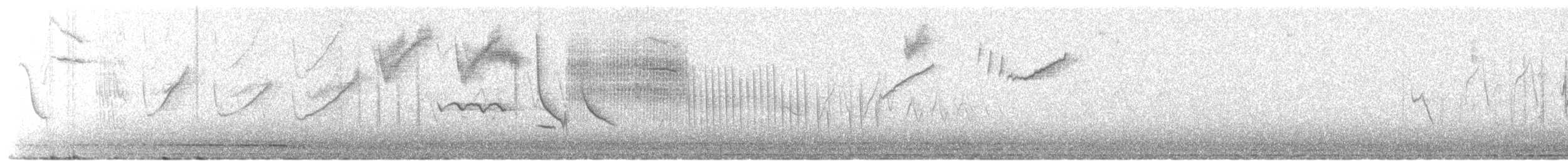 Grass Wren (Paramo) - ML631405524