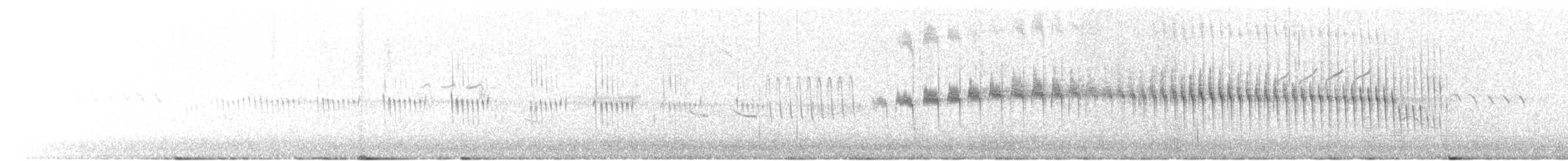 Many-striped Canastero - ML631405605