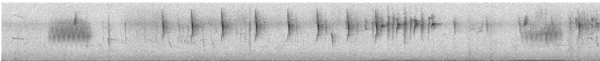 Band-tailed Seedeater - ML631407723