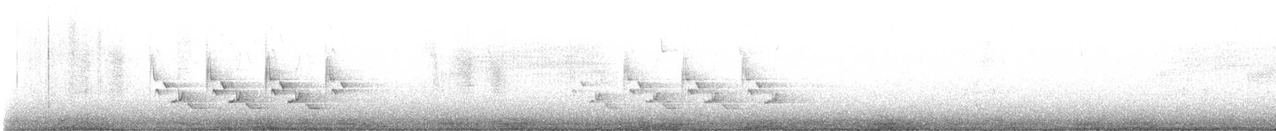 Carolinazaunkönig - ML631409110