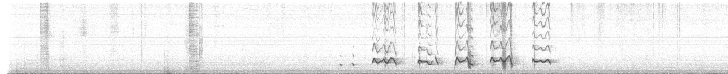 Band-rumped Storm-Petrel - ML631411075