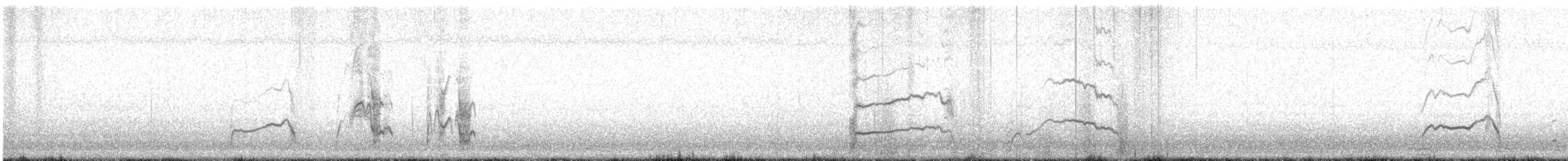 Band-rumped Storm-Petrel - ML631411292