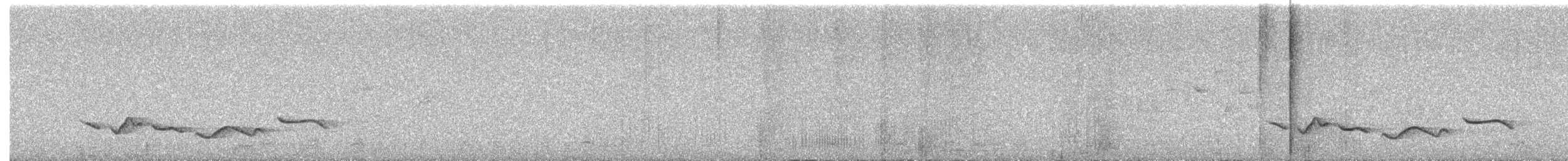 Black-crowned Tchagra (Hooded) - ML631414885