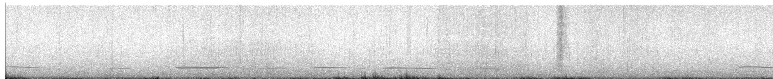 Black Scoter - ML631417724