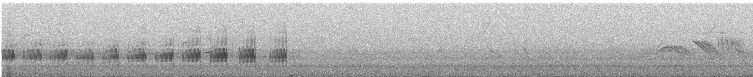 Géositte à ailes rousses - ML631419570