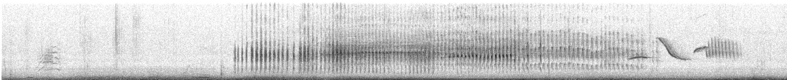 Sarımsı Madenci (validirostris) - ML631419716