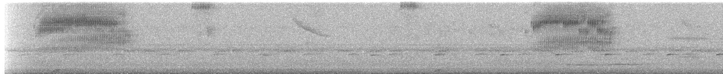Spotted Barbtail - ML631423249
