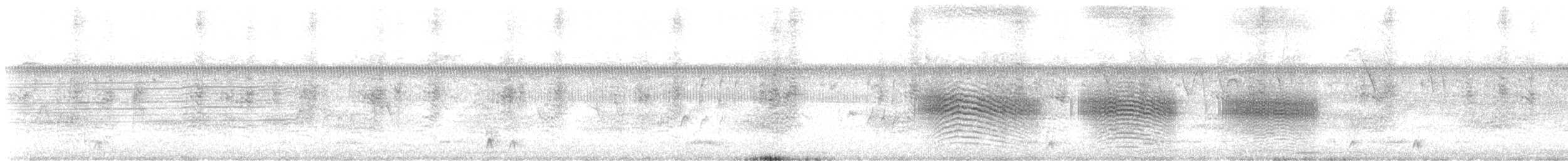 White-tipped Plantcutter - ML631425502