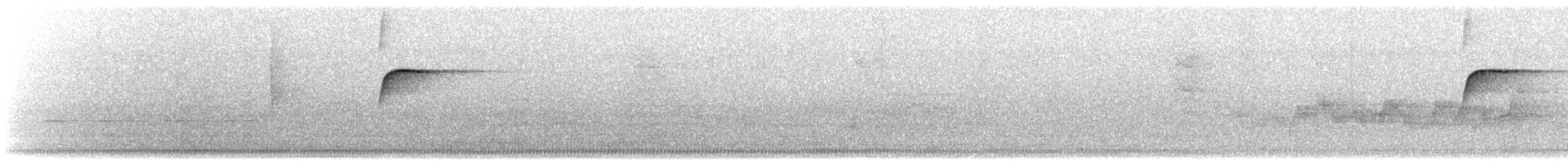 キメジロハエトリ - ML631426250