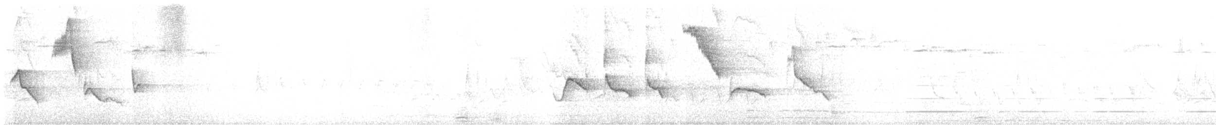 Tohi à nuque claire - ML631427566