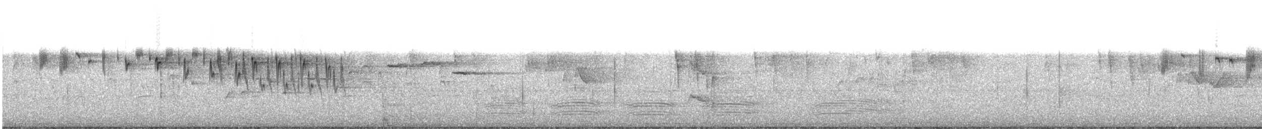 Prachtstaffelschwanz - ML631428152