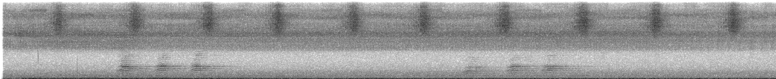 Torresian Crow - ML631433306