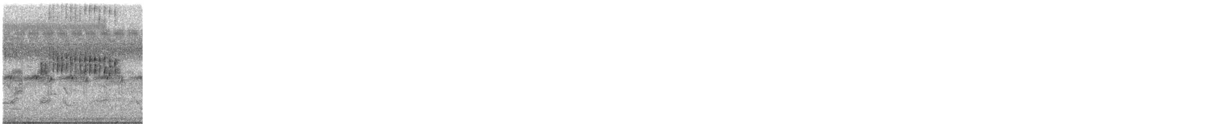 Streifenschwirl - ML631433948