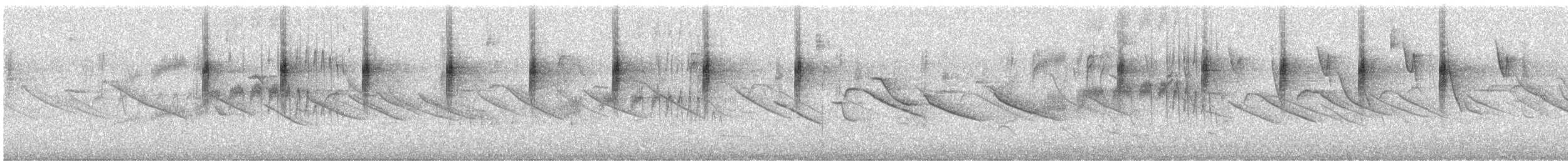kolibřík modrolící - ML631435675