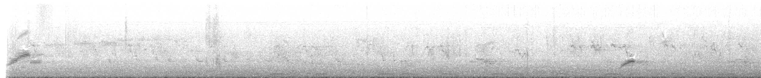 Étourneau pie - ML631436275