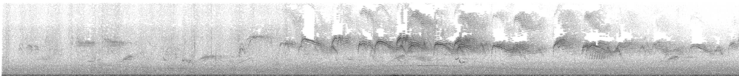 Martinet pâle - ML631436280
