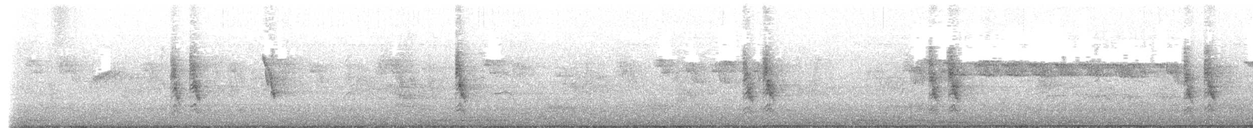 Moineau domestique - ML631436304