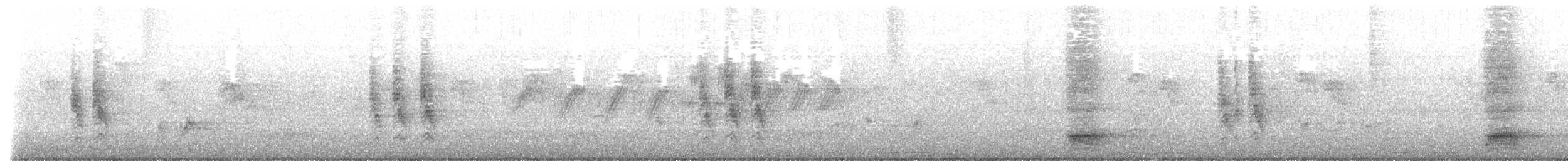 Moineau domestique - ML631436305