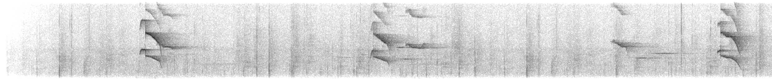 Perlkappen-Baumsteiger - ML631436563