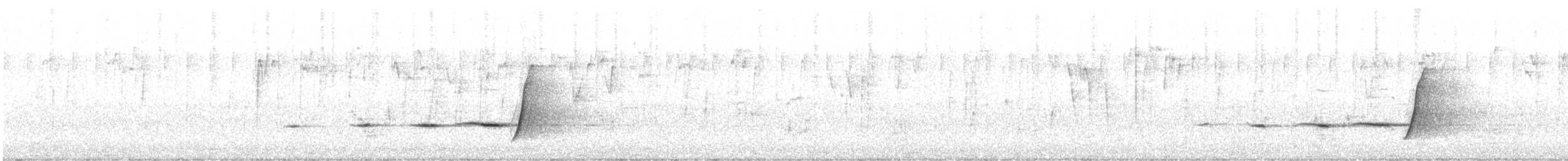 Golden Whistler (Western) - ML631436582