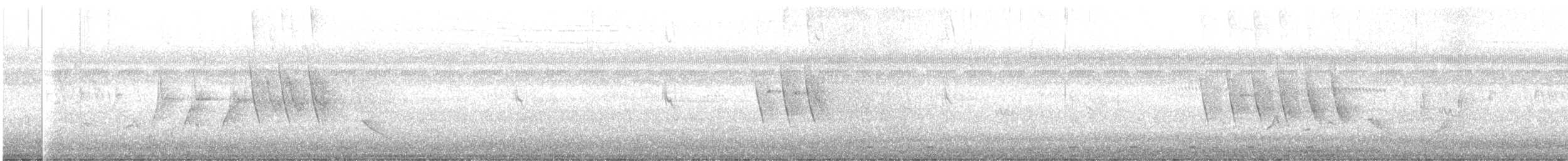 African Pied Wagtail - ML631440422