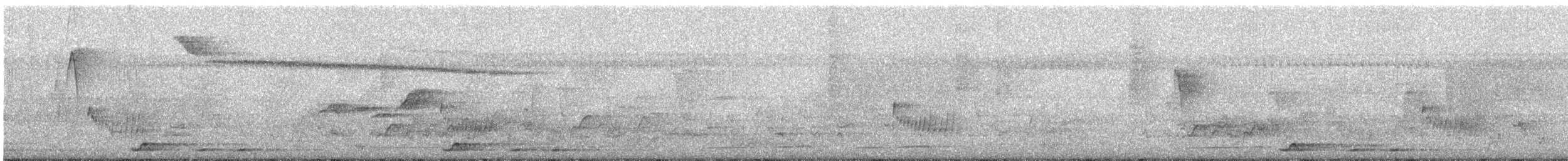 Large Scimitar-Babbler - ML631446696