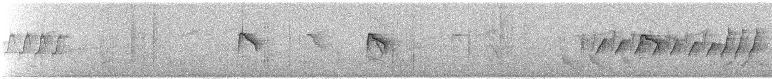 Tawny-bellied Babbler - ML631452575