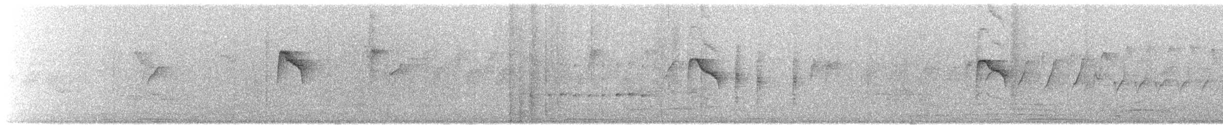 Tawny-bellied Babbler - ML631452939