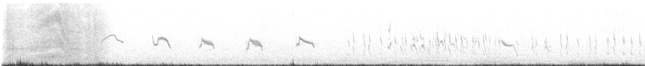 Txoriandre pispoleta mediterraneoa - ML631454091