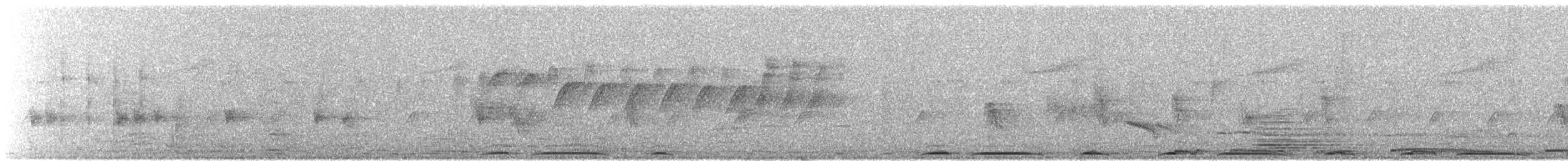 Eurasian Collared-Dove - ML631456659