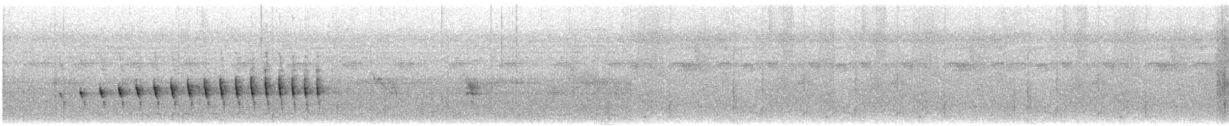 Pacific Antwren - ML631456986