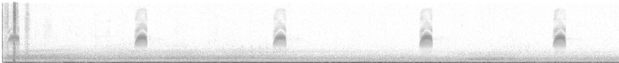 sluka americká - ML631464881