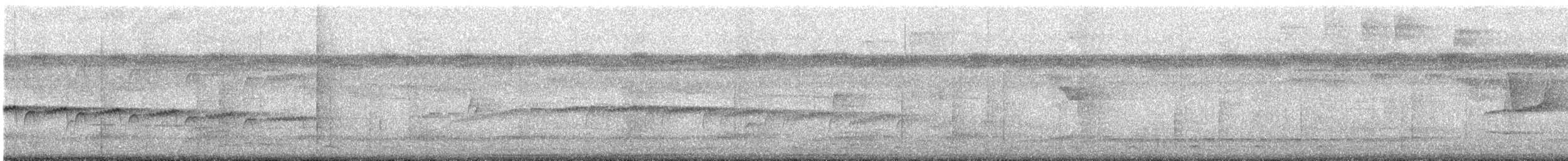 brunryggmaurfugl - ML631468482