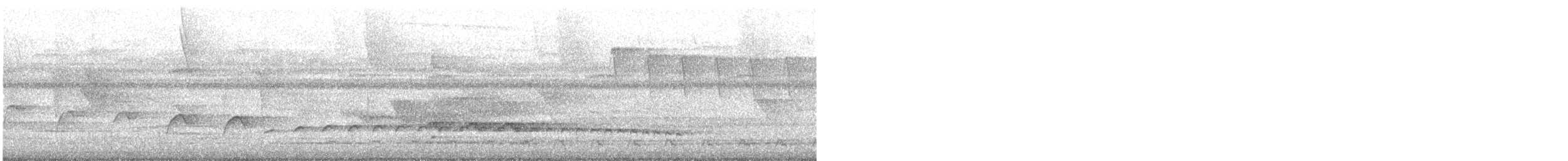 Batarito Coronipunteado - ML631470697