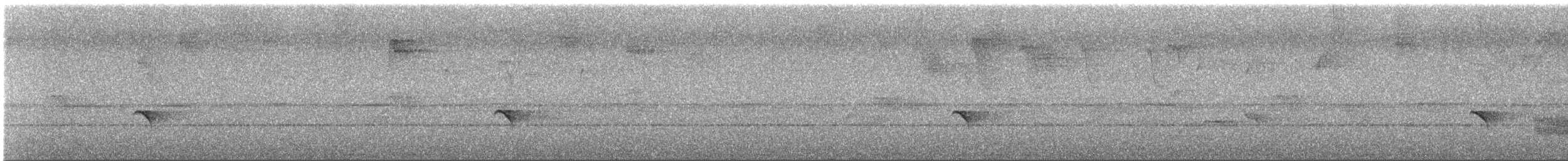 Guatemalan Tyrannulet - ML631471484