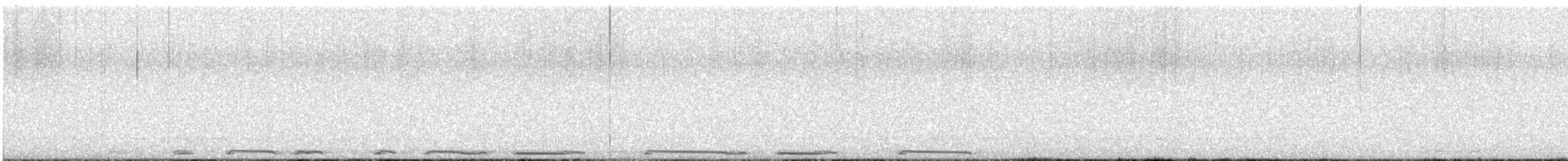 White-winged Dove - ML631473388