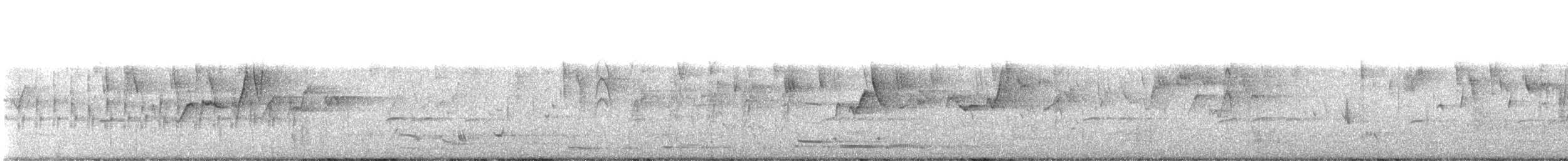 Spiegelkleiber (chrysoptera) - ML631475884