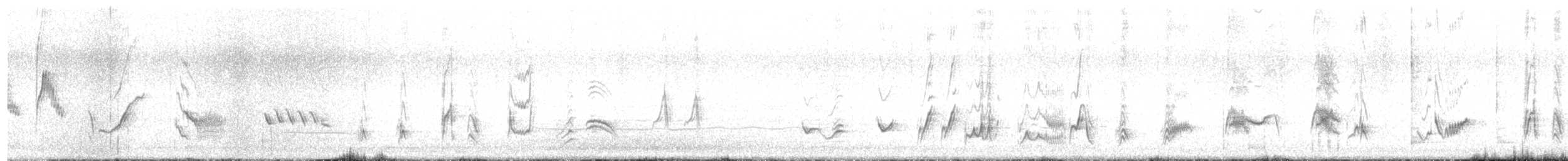 マルハシツグミモドキ - ML631476207