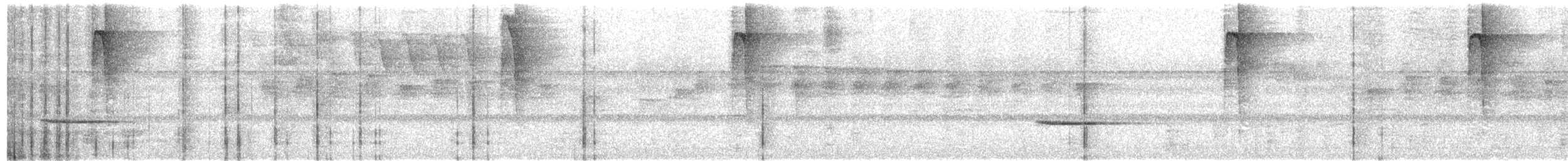 Checker-throated Stipplethroat - ML631476641