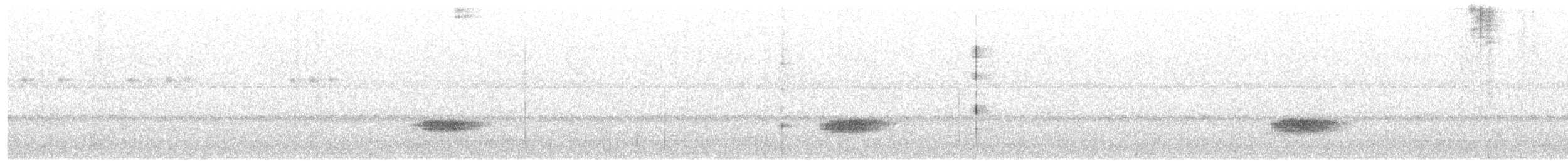 Gelbkehl-Krummschnabeltyrann - ML631478644